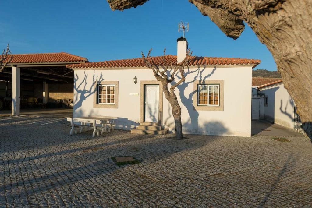 Quinta Sta Luzia Carrascal Vila Flor Exterior foto